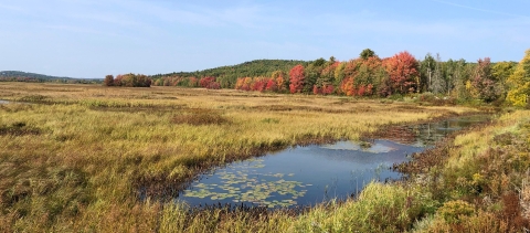 Autumn panorama at Moosehorn National Wildlife Refuge