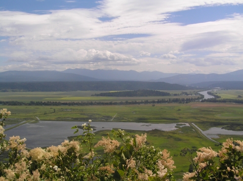View of Kootenai National Wildlife Refuge from overlook.