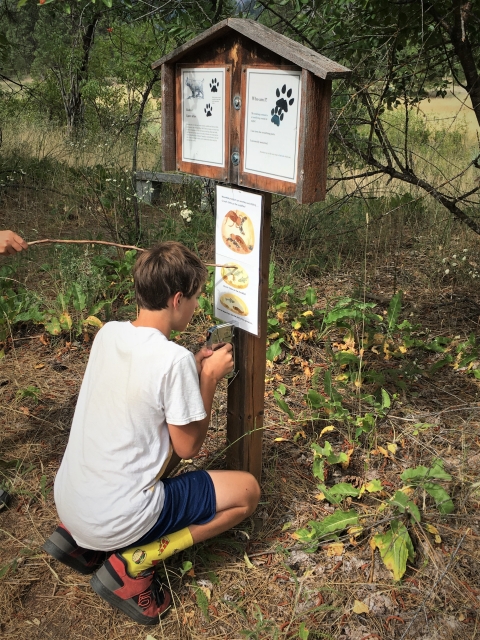A youth volunteer staples a laminated book page to a signpost on the Leavenworth NFH story trail.