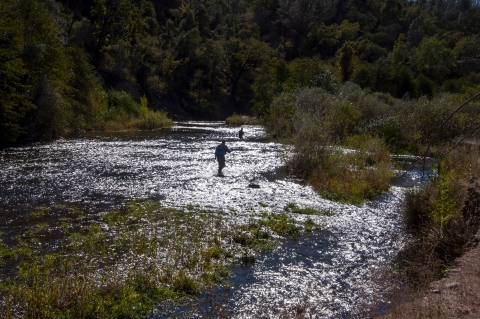 Two men with fishing rods wade in a shallow creek