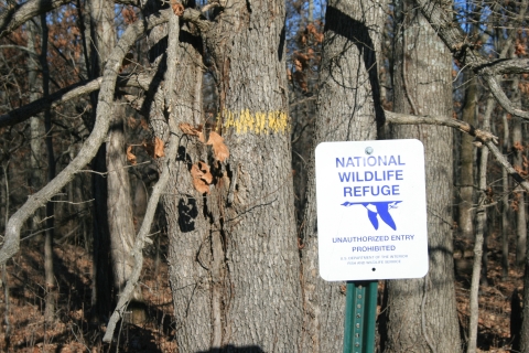 A refuge boundary sign in front of a tree with yellow paint markinngs.