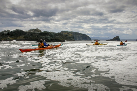 four people kayaking in the ocean on a cloudy day