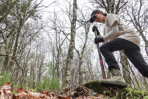 Person standing in a forest, using a shovel to dig a hole