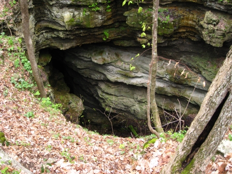 Fern Cave