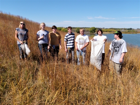 Dakota State University Volunteers Harvesting Native Seeds