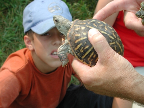 Boy and Turtle 
