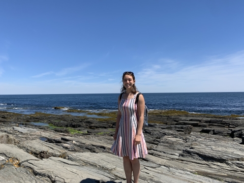 A woman in a dress standing on a rocky beach