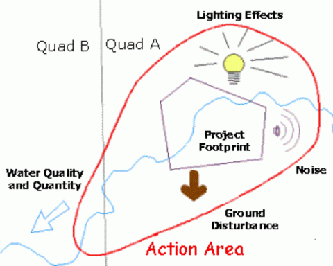 A diagram of how to label an action area