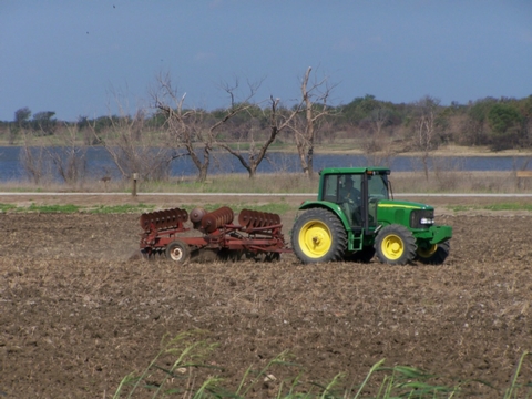 Planting Winter Wheat for Migratory Birds