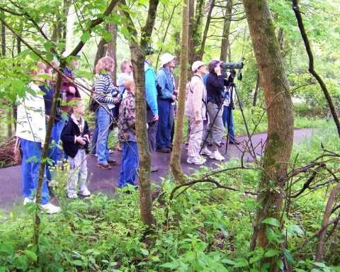 Group of birdwatchers on paved trail looking at birds
