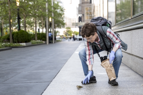 A person wearing gloves bending over to pick up a disoriented bird on a city sidewalk