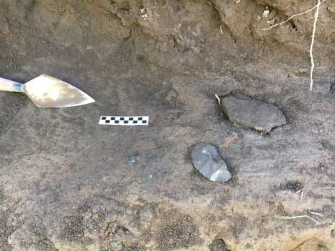 A trowel is set next to a black and white strip that shows scale, next to two stone tools just exposed in the earth.