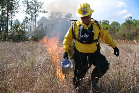 firefighter walks through tan grass setting a line of fire 