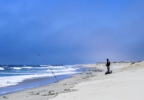 Person on the beach fishing with pole about 20 feet away at the ocean on bright sunny day