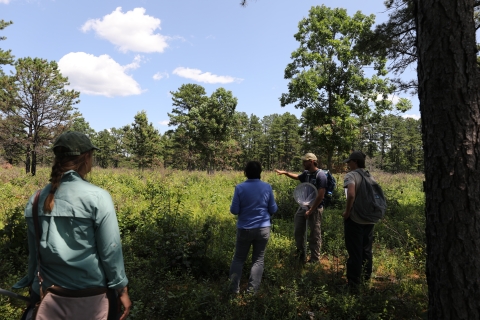 four people stand in the shade by a grassy meadow. One man gestures to the grass with his hands.