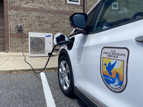 Electric car charger mounted on an exterior brick wall, with a cable running from the charger to a Fish and Wildlife Service car