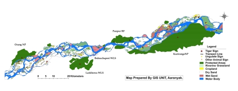Map of the study area showing vegetation cover, protected areas, transect lines, presence of tigers, prey and other animals