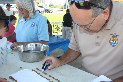 USFWS employee dabs superglue on freshwater mussels