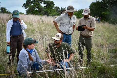 biologists learning grassland effectiveness monitoring protocol