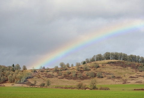 Rainbow over oak savannah at Finely National Wildlife Refuge. 