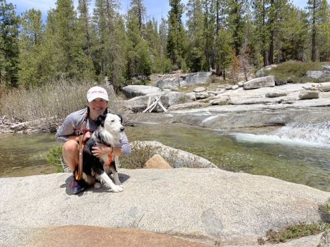 Amy hiking with her border collie in a forest
