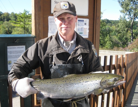 Nick Staats, Atlantic salmon