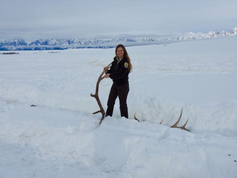 A woman in an FWS uniform stands in a snowy field holding the end of a large antler.