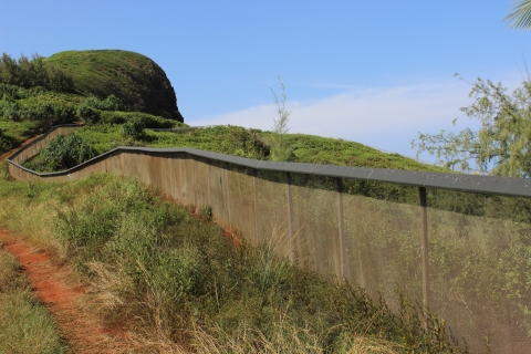 A predator proof fence outlines a grassy sanctuary.