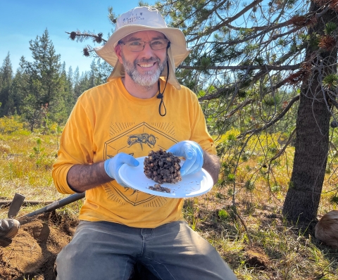 A man in a yellow shirt and medical gloves kneels in the dirt holding a paper plate with a bumble bee nest on it