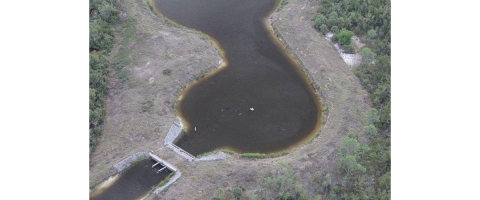 Small grey manatees seen from the air in a large impoundment 