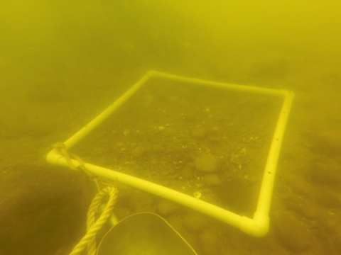 a square made of PVD rests on the river bottom