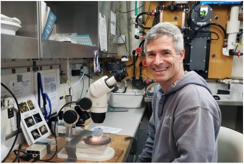 Person working in a lab.