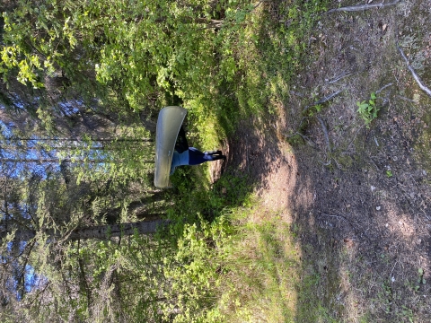 A person carries a canoe over a forested trail.