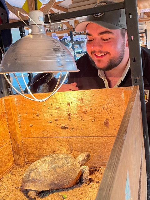 Checking out gopher tortoises at the head start facility at Camp Shelby in Mississippi Photo credit: Jenna King/USFWS 