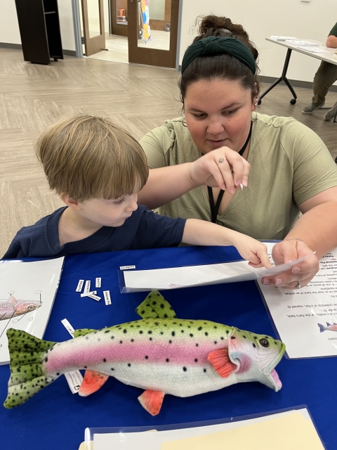 Child learning about parts of a fish