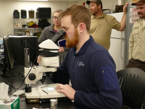 Man looks at carp otolith under microscope