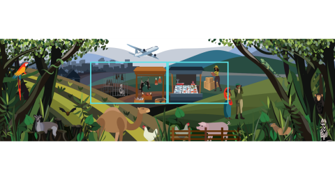 An illustrated graphic with multiple scenes within. Two neon blue rectangles frame sections in the center of the graphic. 