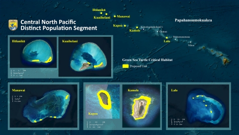 A map of the Northwest Hawaiian Islands that shows the areas for proposed green sea turtle critical habitat highlighted in yellow.
