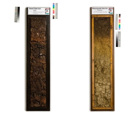 Two tall rectangles of soil, one dark and one light, are side by side