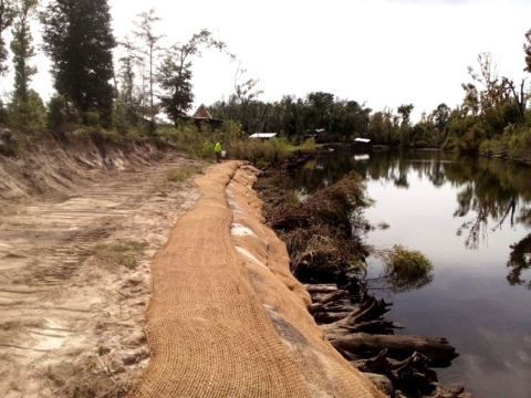 Streambank restoration