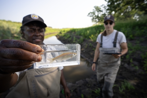 Two staff members show off a spotfin shiner found in a restored oxbow