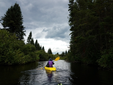 A bright yellow kayak glides through on a glass-smooth river surrounded by towering evergreen trees. In the distance ominous clouds hover in a clearing sky on the horizon. 