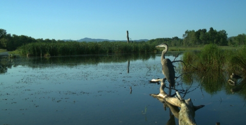 LCFWCO - Wetland Restoration Completed