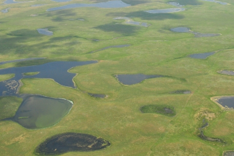 Sand Lake Wetlands