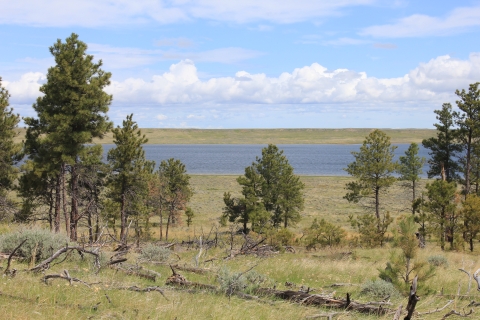 View of water through trees at War Horse National Wildlife Refuge