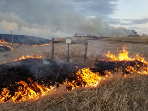 WPA Prescribed Fire Management