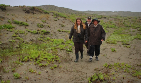 Three people walk on a sand dune