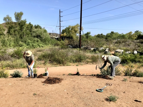 Two individuals on opposite ends are on a dry, almost empty garden planting native plants. 