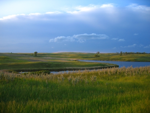 Thunderstorm over prairie wetlands in North Dakota