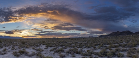 Sunset over the desert